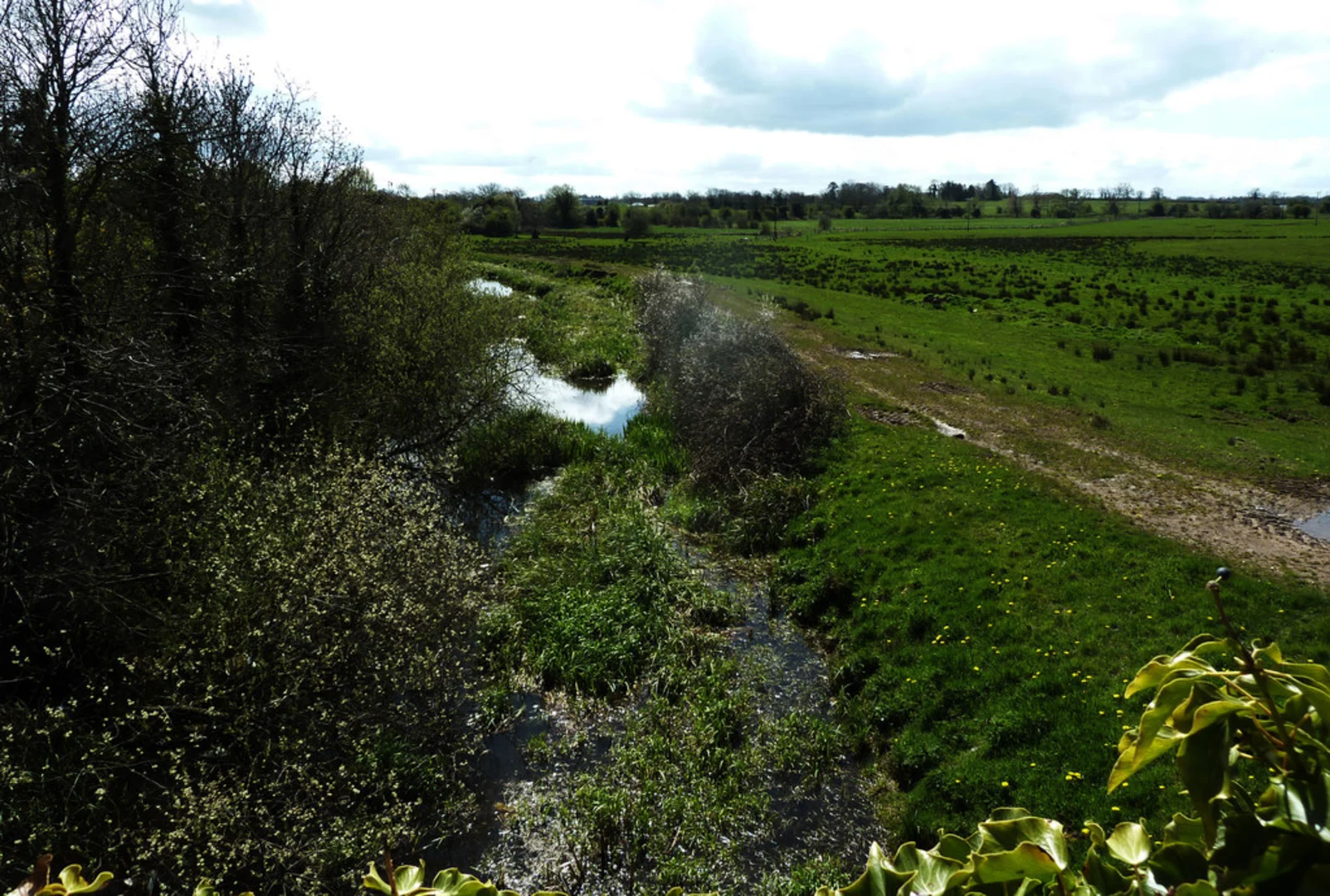 An image depicting the trail Old Lagan Canal Towpath - Aghagallon and its surrounding area.