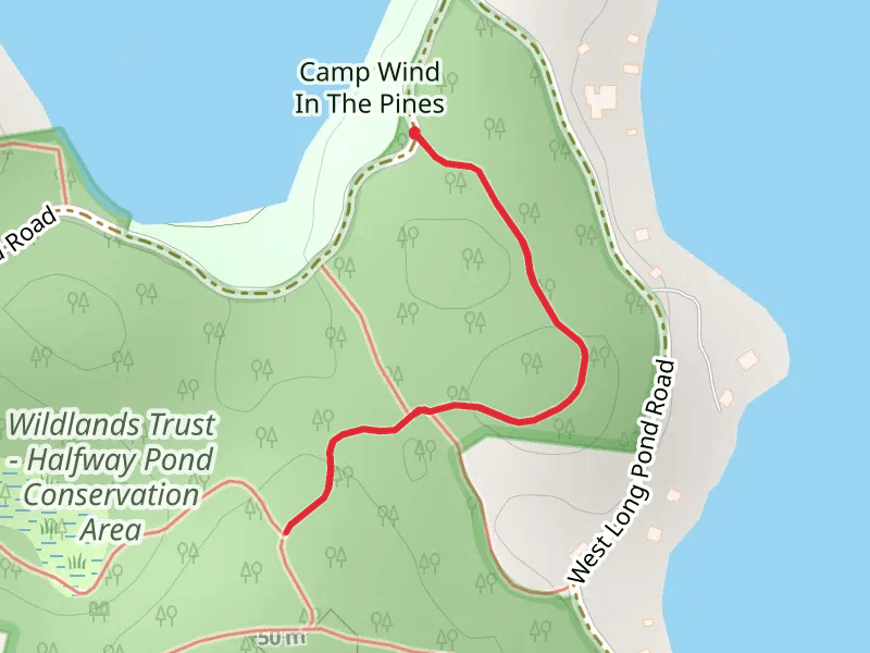 Camp Wind In The Pines