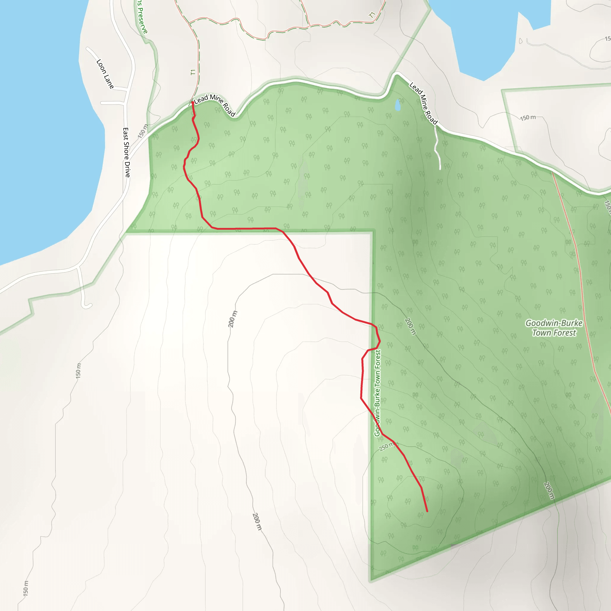 Goodwin Town Forest from Lead Mine Road mobile static map