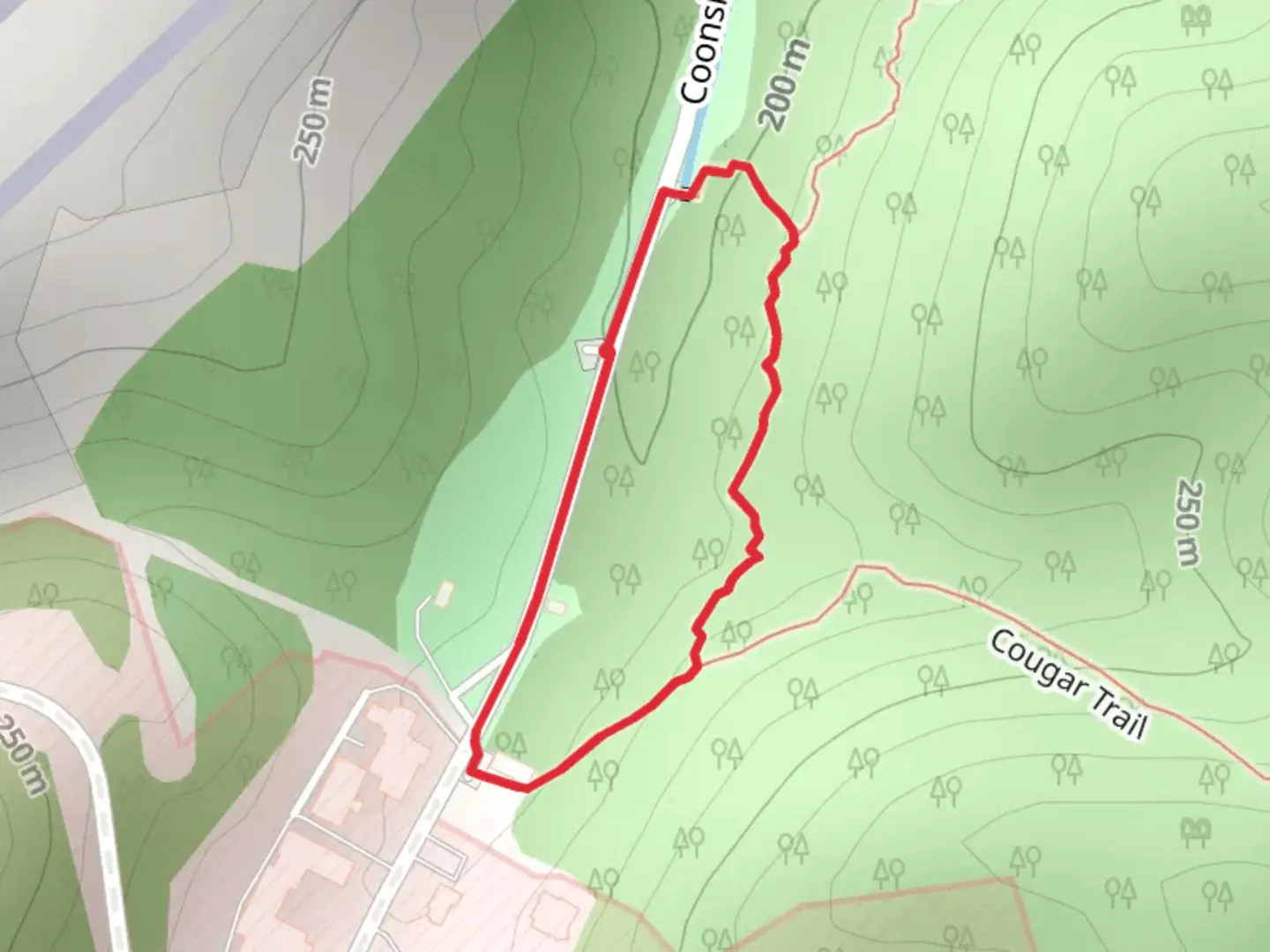 An image depicting the trail Coonskin Drive Loop and its surrounding area.