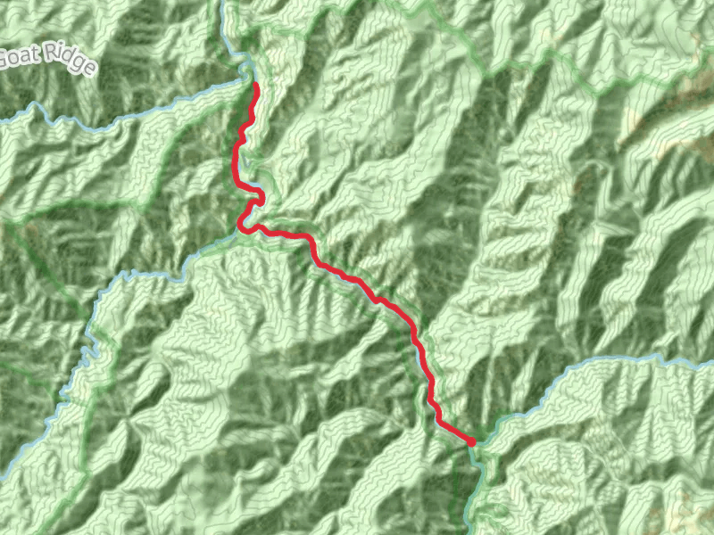 Selway River Trail