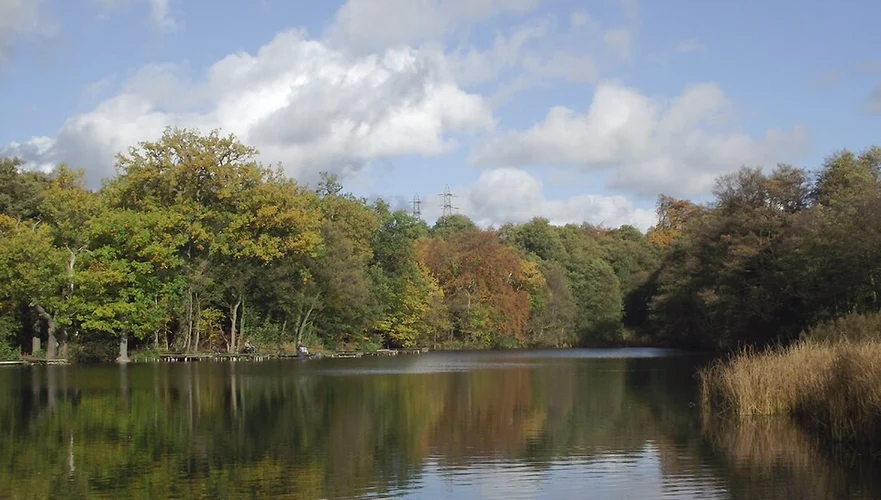 Spring Pool and Baggeridge Country Park