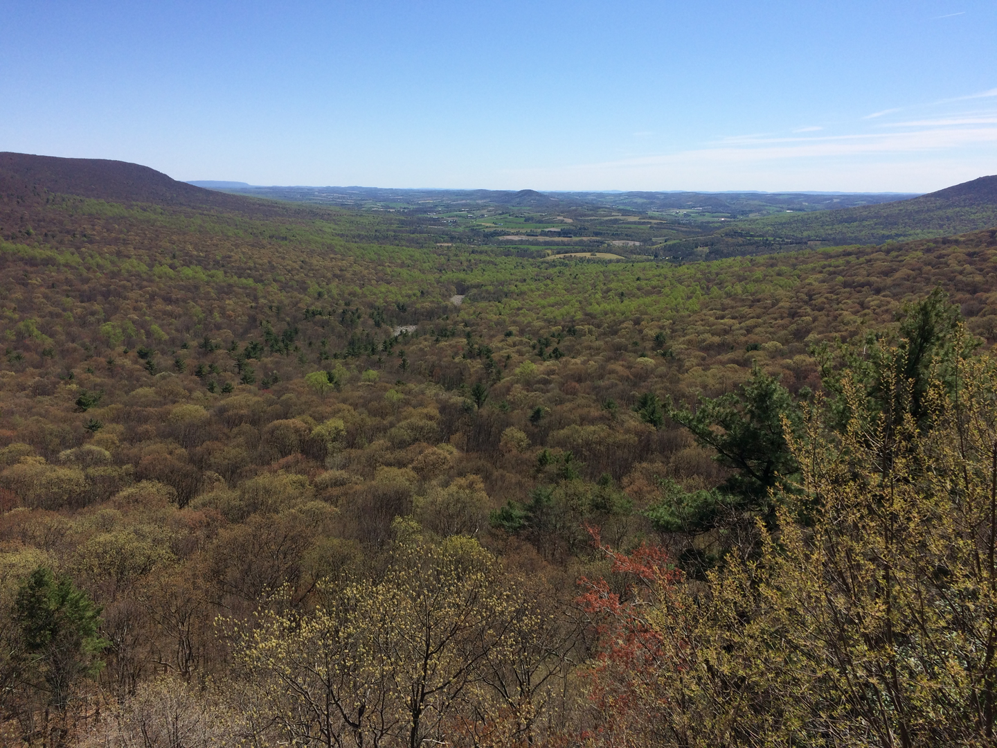An image depicting the trail Mapple Hollow Trail, Scenic Vista Trail and Boundary Trail Loop and its surrounding area.
