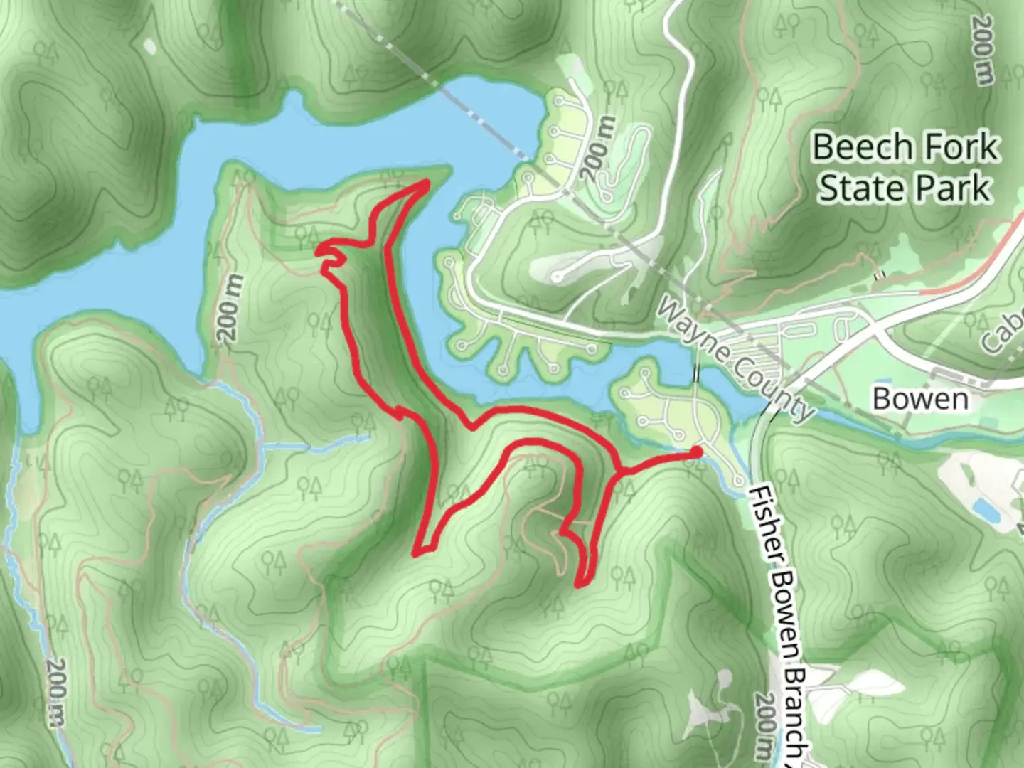 An image depicting the trail Beech Fork - Lost Trail and its surrounding area.