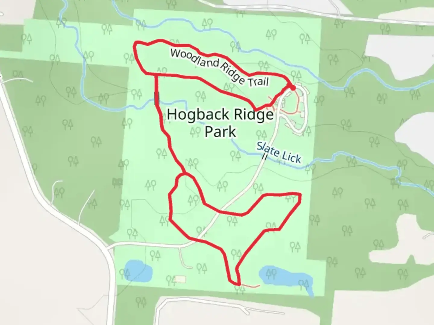 An image depicting the trail Woodland Ridge and Pine Grave Loop and its surrounding area.
