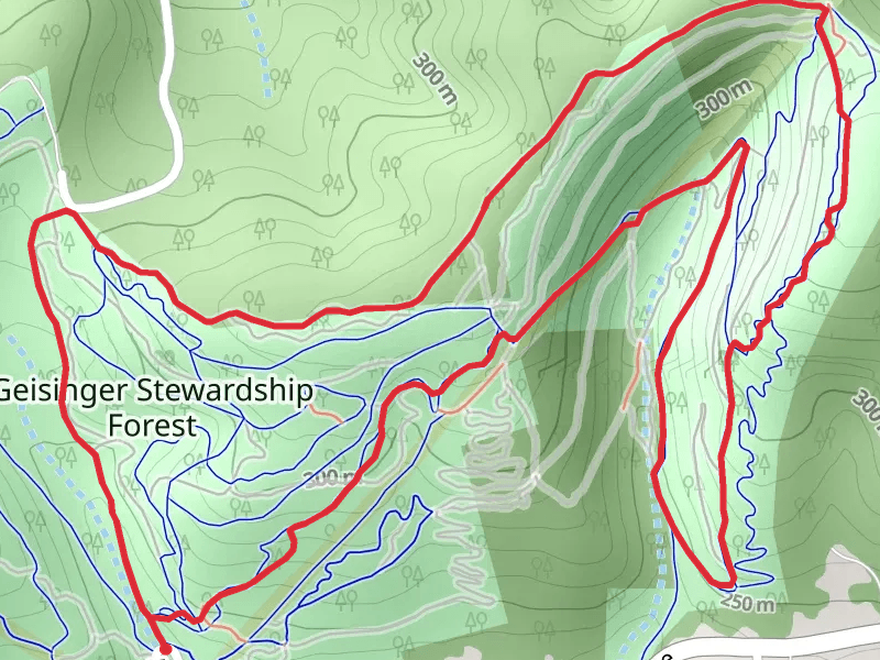 Geisinger Stewardship Forest Loop