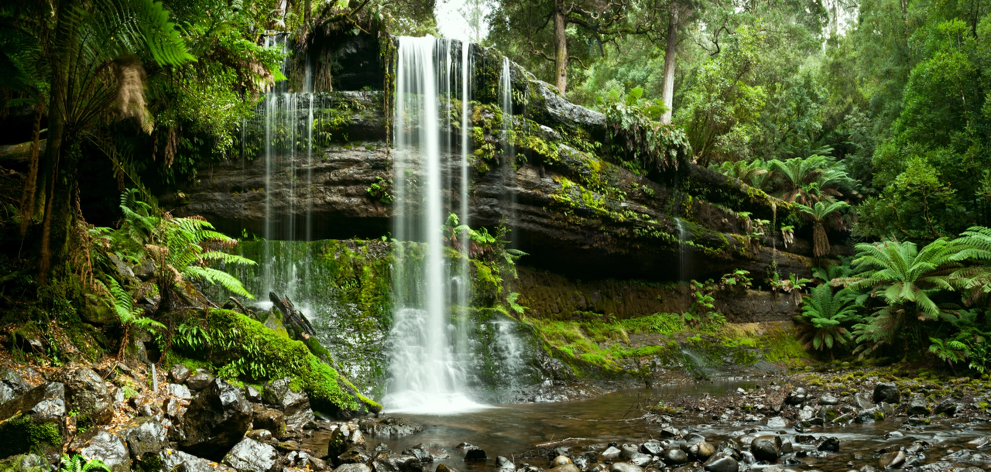 An image depicting the trail Russell Falls Track and its surrounding area.