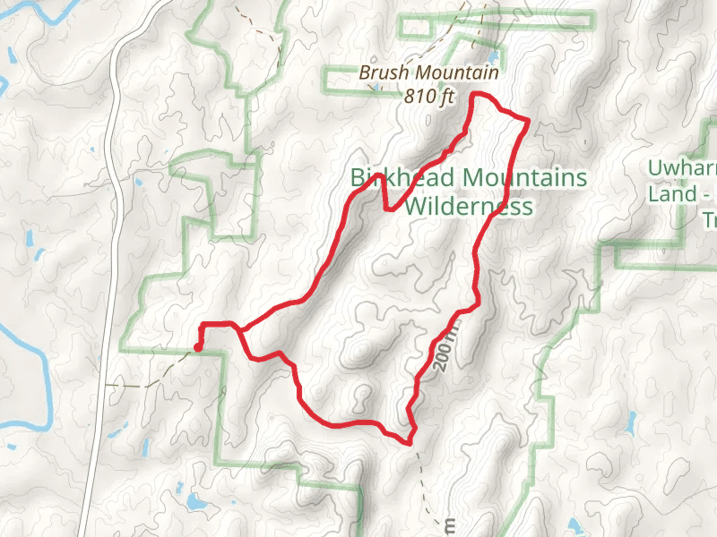 Robbins Branch, Birkhead Mountain and Hannah's Creek Loop Trail