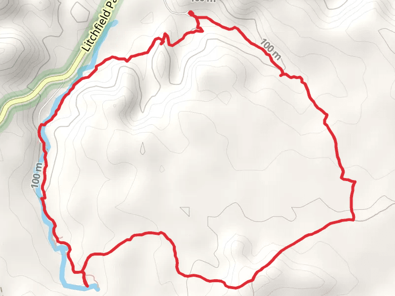 Bamboo Creek - Tin Mine - Walker Creek Loop