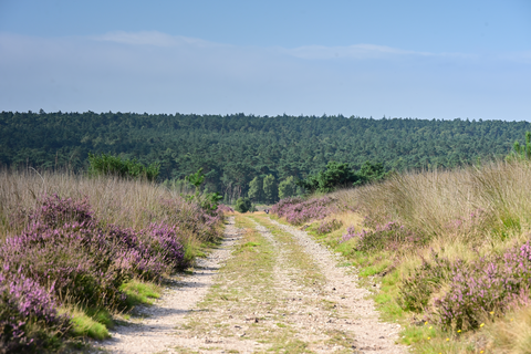 De Hutte and De Heetdelle Loop
