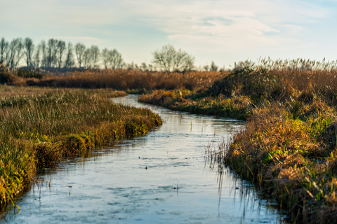 Krommenie Assendelft to Halfweg Zwanenbueg via Houtrakpolder and Golfterrein
