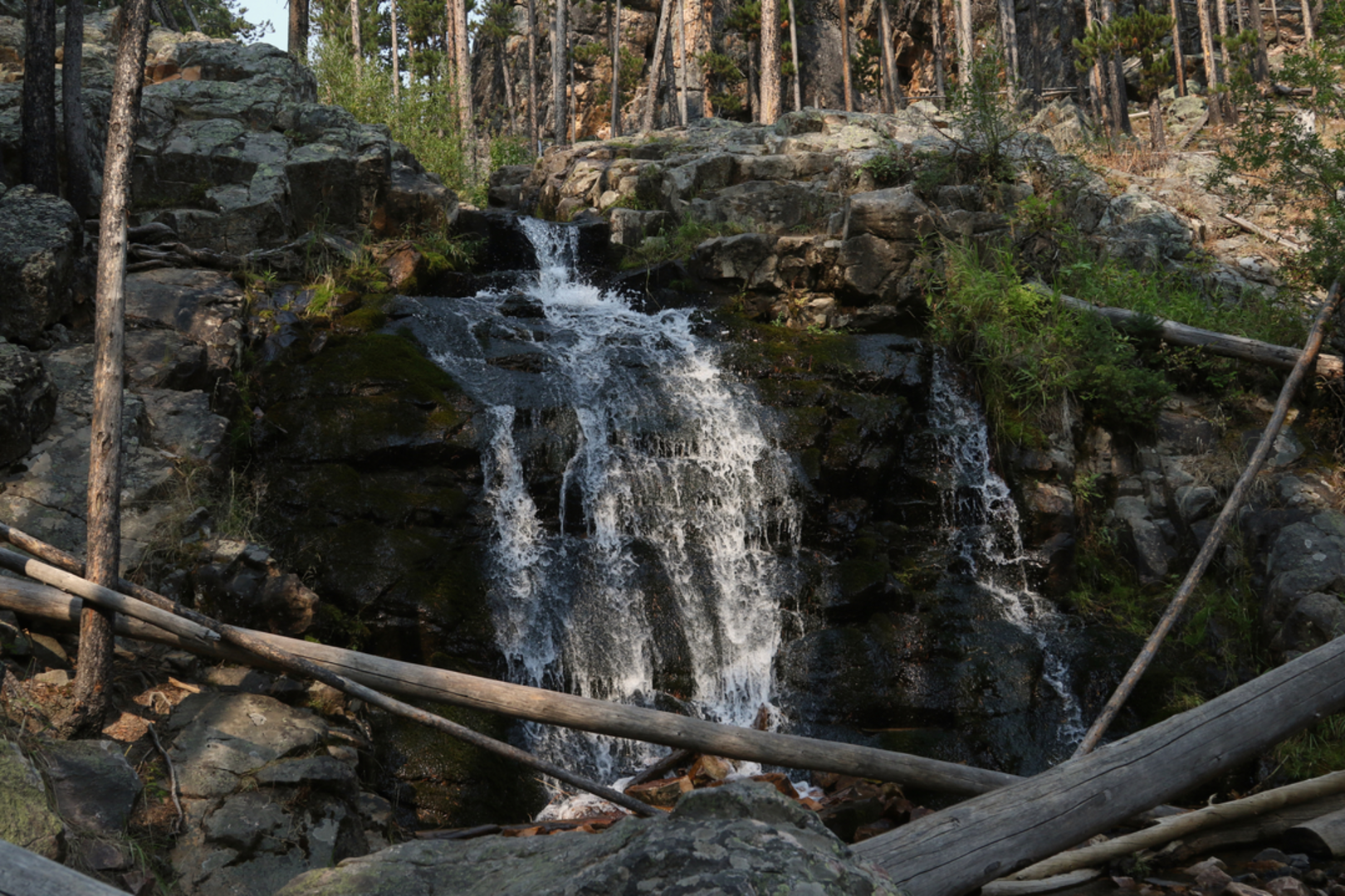An image depicting the trail Memorial Falls Trail and its surrounding area.