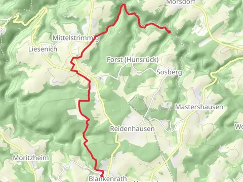 Blankenrath to Mörsdorf via Layensteig