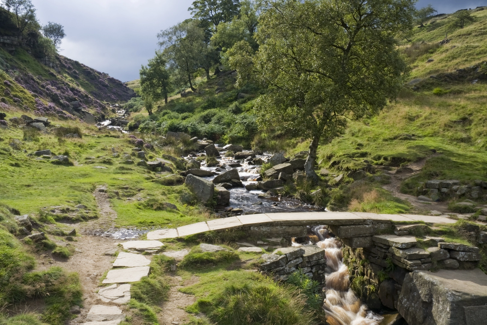 An image depicting the trail Grove Hill Dike, Enshaw Knoll and Haworth Moor Loop and its surrounding area.