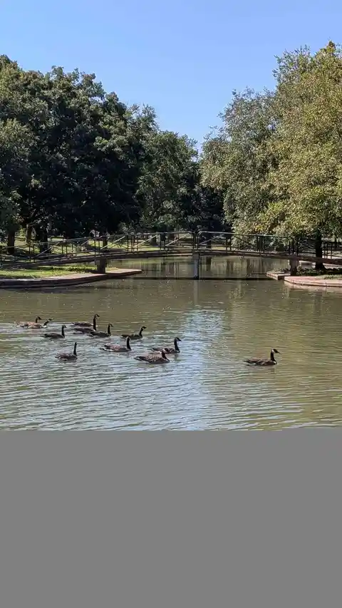 Willmore Park Lake 2 Loop