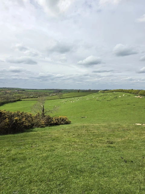 Gumley Round