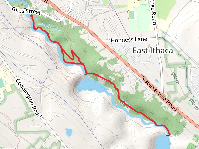 Six Mile Creek and Ithaca Reservoir