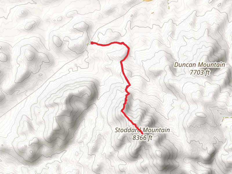 Stoddard Mountain via Duncan Spring Trail