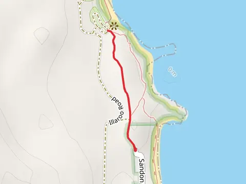Angophora Grove Track