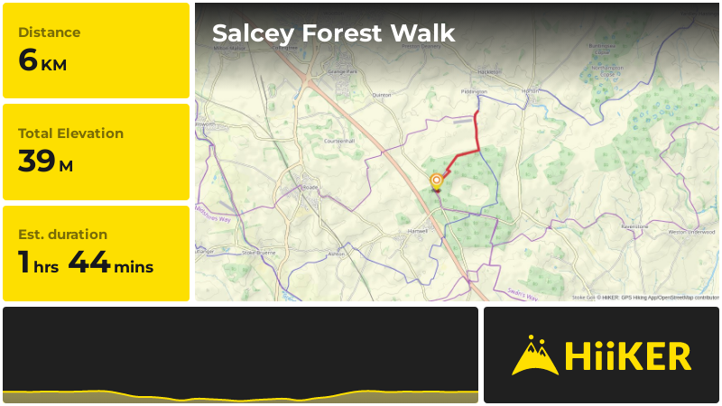 Salcey Forest Walk | West Northamptonshire | England