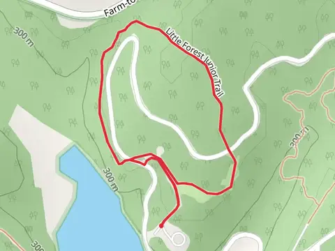 Little Forest Junior Loop Trail
