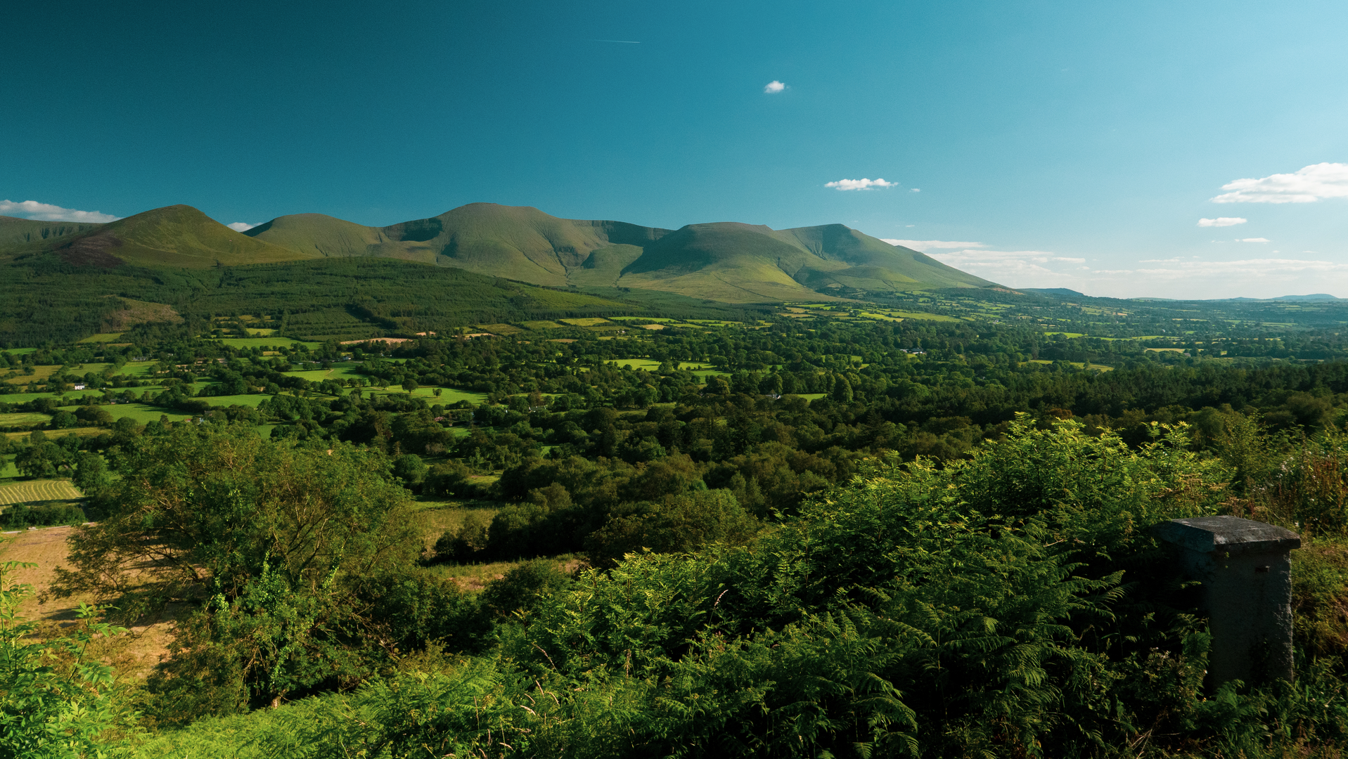 An image depicting the trail Lisvarrinane - Carrolls Loop and its surrounding area.