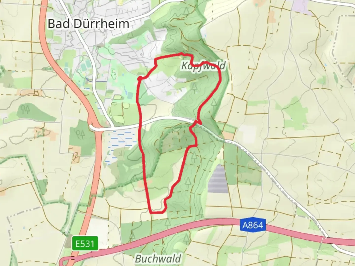 An image depicting the trail Försterweg Kapfwaldweg and Aesener Hoell Buchwald Loop and its surrounding area.