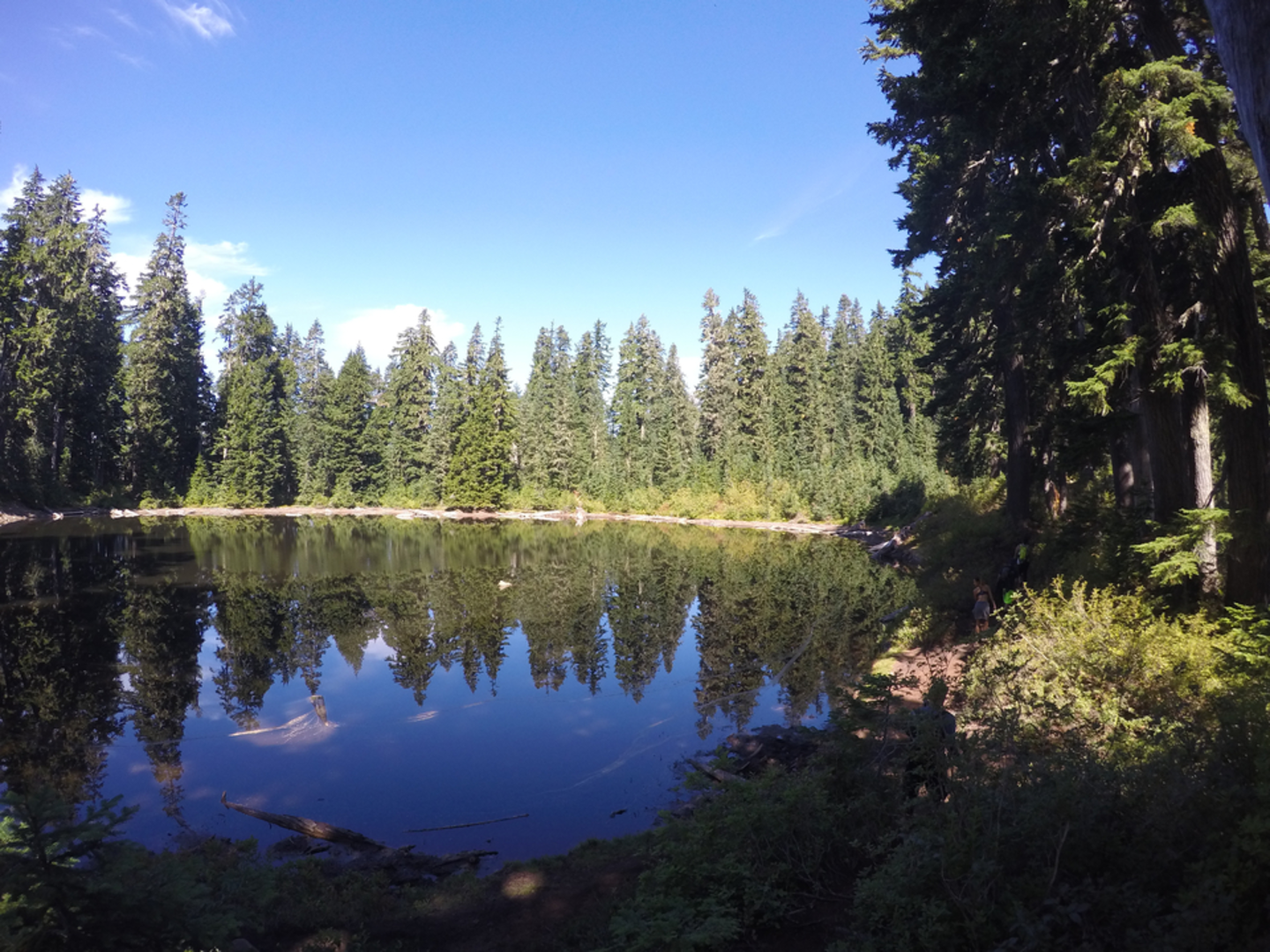 An image depicting the trail Blanca Lake Trail and its surrounding area.