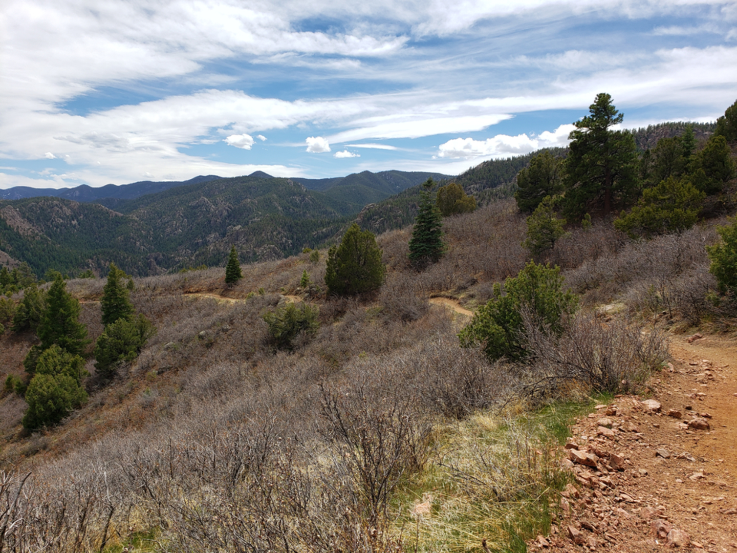 An image depicting the trail Stultz Trail and its surrounding area.