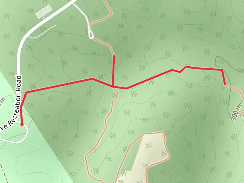 Hardwood Trail