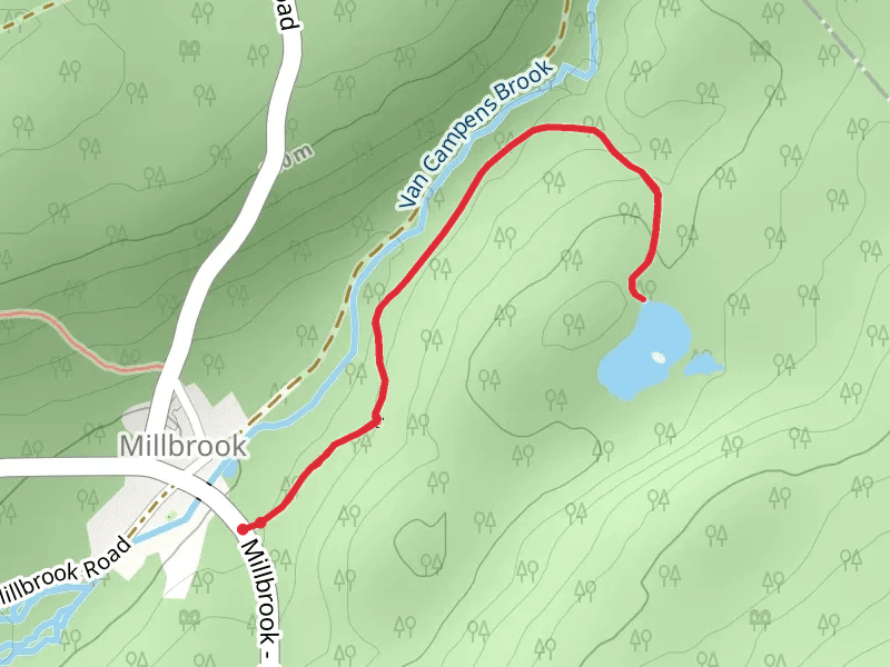 Coventry Pond Trail