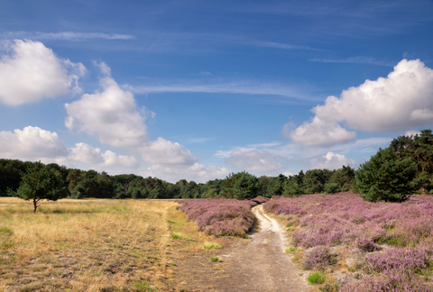De Keyenberg, Het Broek and Zoning Spoor Loop