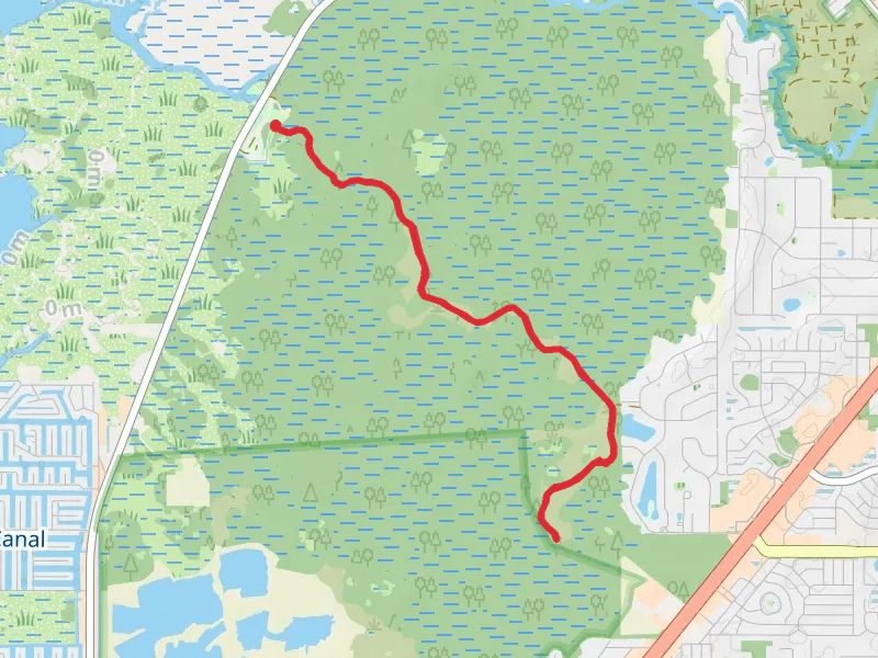 Weeki Wachee Swamps Walk