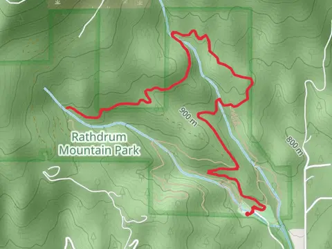 South Fork Spring Creek via Main Road