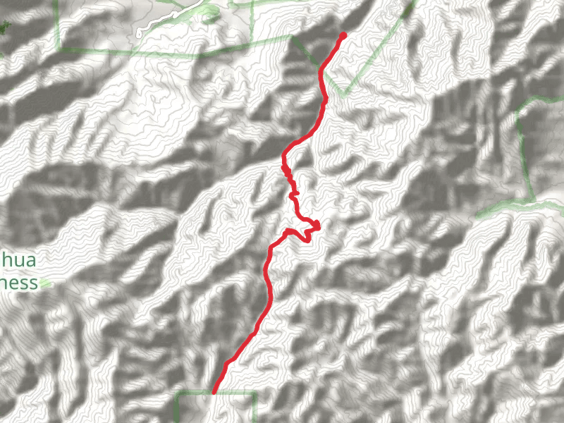 Burro Trail via South Fork Trail