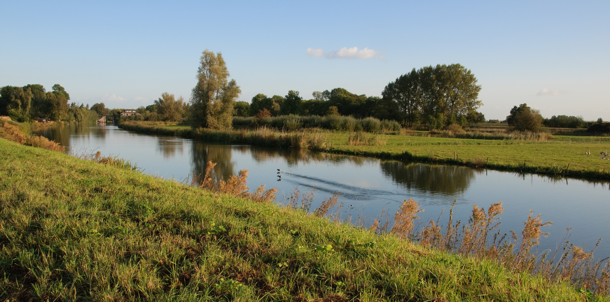An image depicting the trail Galgen Wiel, Huize Acquoy and Het Wiel Loop and its surrounding area.