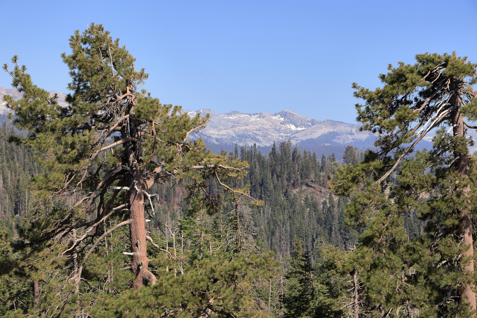 An image depicting the trail Granite Peak Spur via Stoney Ridge Trail and its surrounding area.