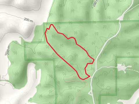 Blue Loop Trail - Ridge Road