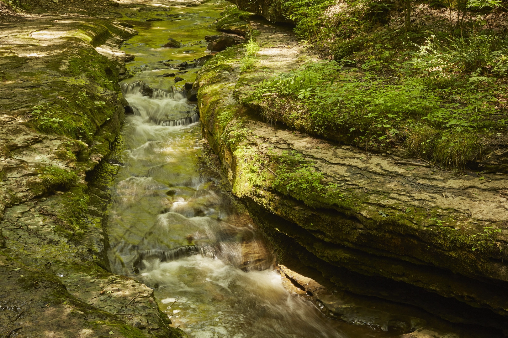 An image depicting the trail Alpha Falls via Alpha Pass Trail and its surrounding area.