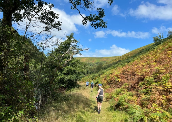 Cloud Farm to Lynmouth