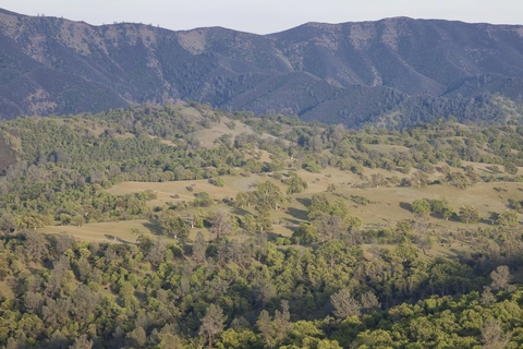 Thompson Canyon, Cache Creek and 3 Ponds Loop Trail