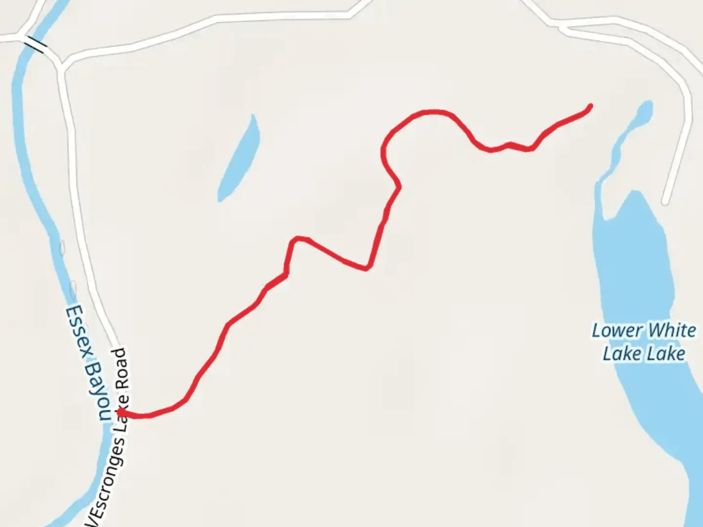 An image depicting the trail Champion Cypress Tree Trail and its surrounding area.