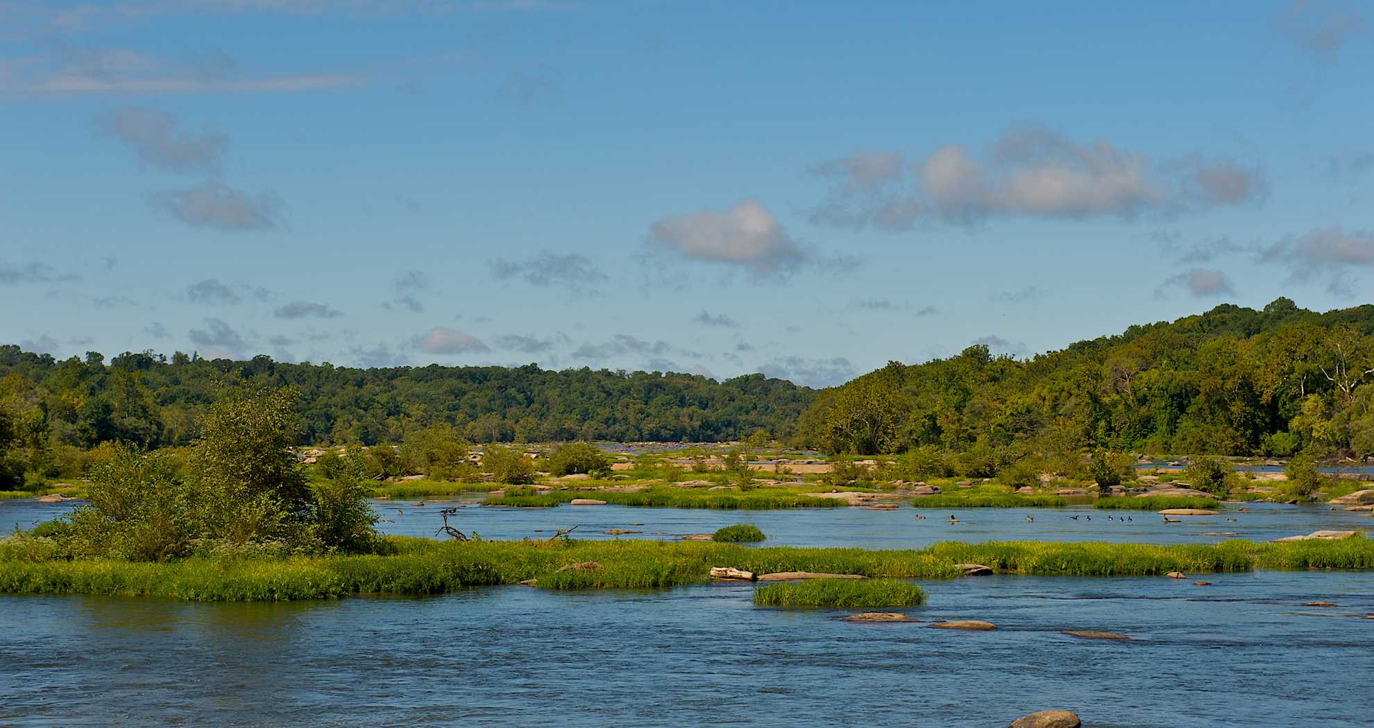 An image depicting the trail Belle Isle and Neck Fields Trail and its surrounding area.