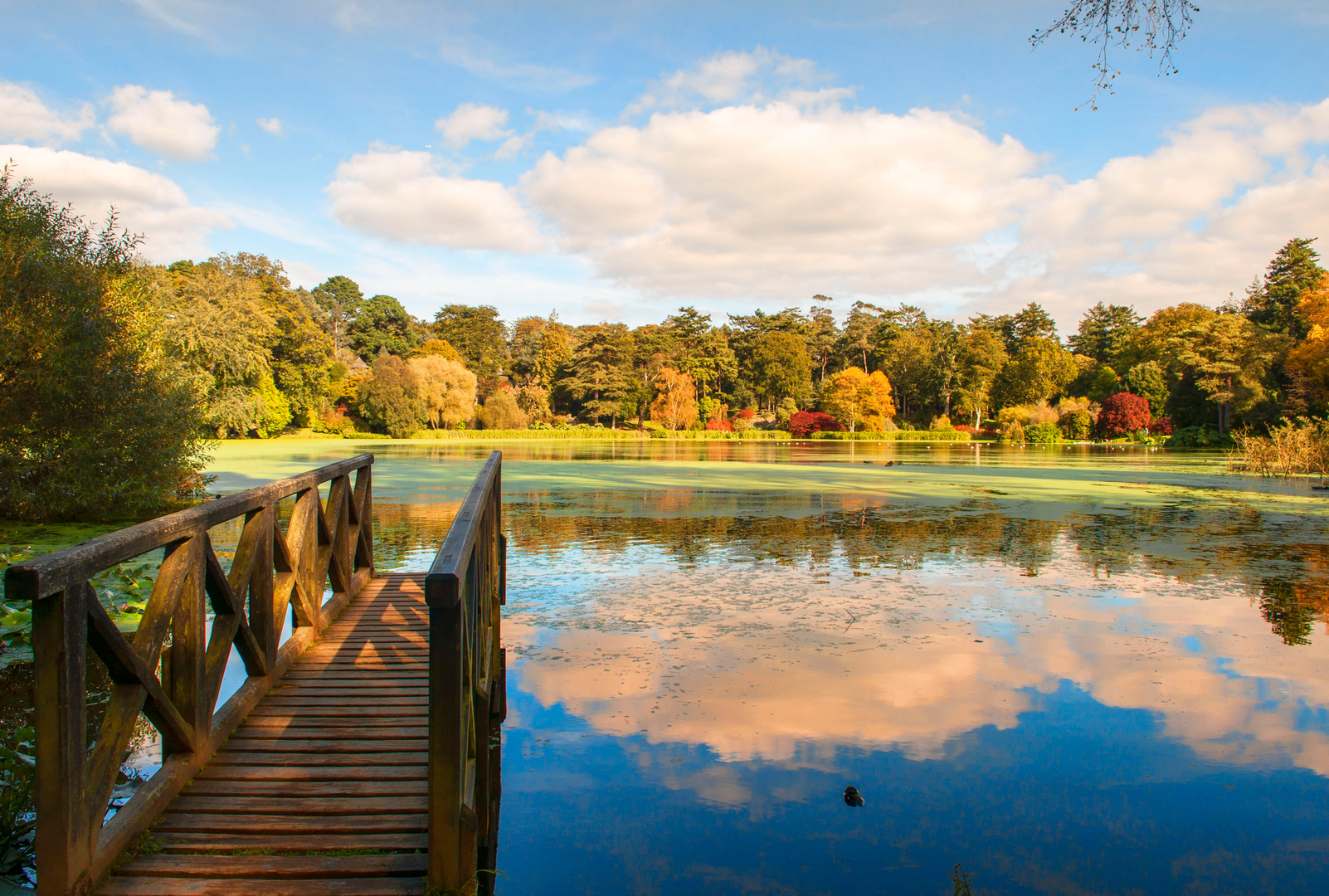 An image depicting the trail Mount Stewart Lake Walk and its surrounding area.