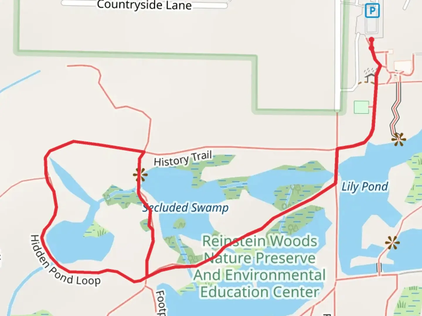 An image depicting the trail Lily Pond to Hidden Pond to Secluded Swamp Loop and its surrounding area.