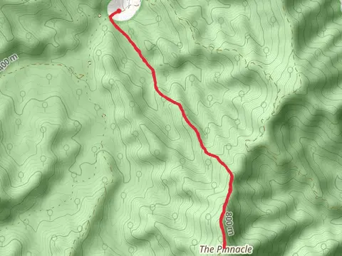 Pinnacle Walking Track