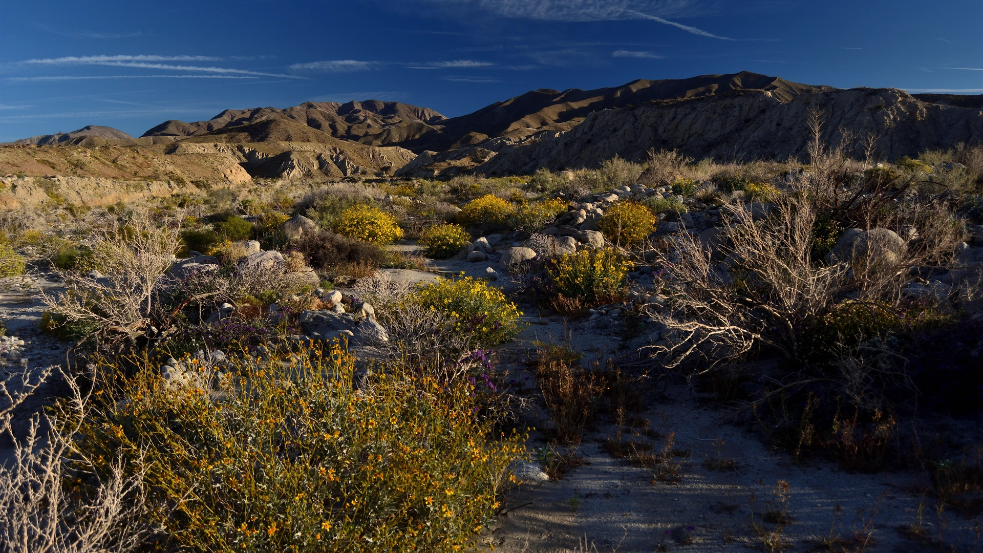 An image depicting the trail West Butte Borrego Mountain via West Butte Trail and its surrounding area.