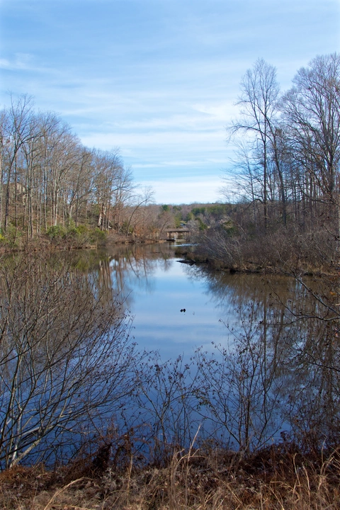 Fisher's Point in Lake Anna State Park