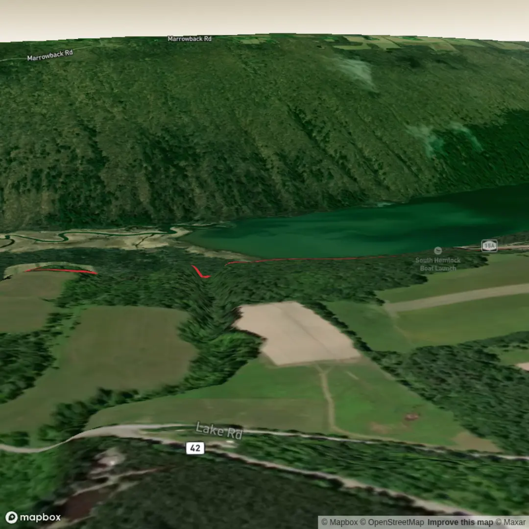 An image depicting the trail Country Line Falls via Willow Oak Trail and its surrounding area.
