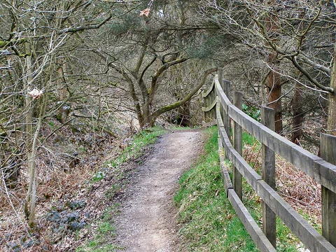 River Irwell and Philips Park Loop - Prestwich